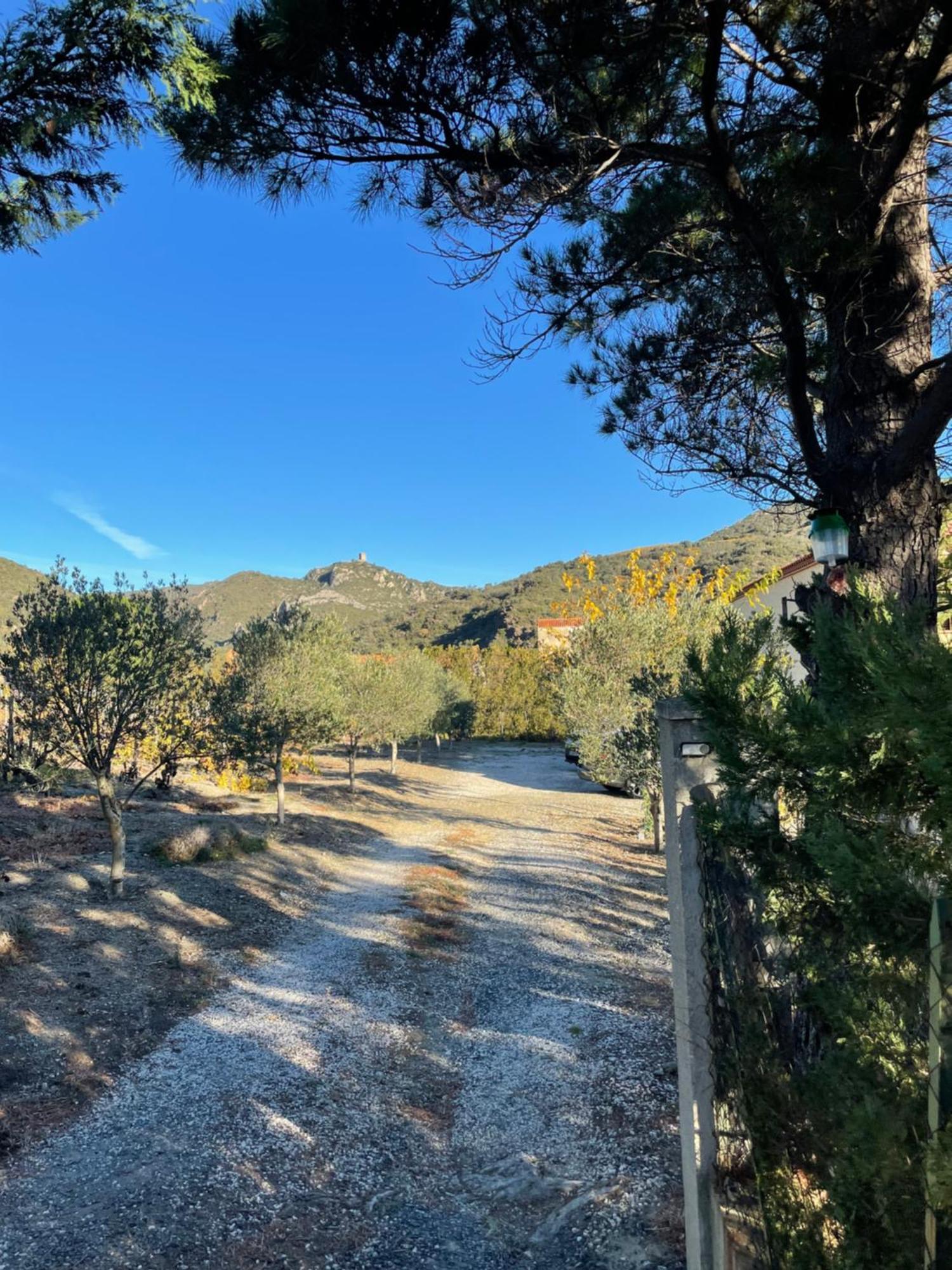 Coeur De Nature Rasigueres Экстерьер фото