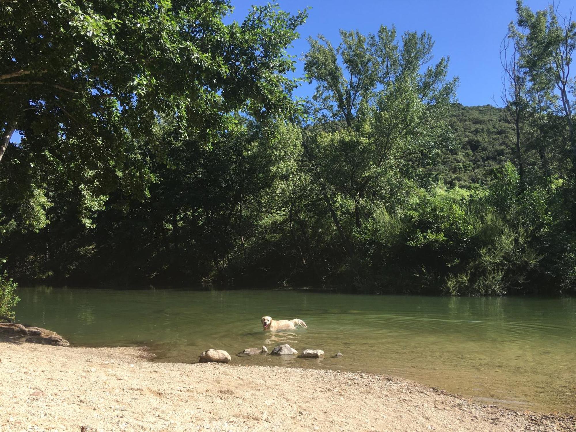 Coeur De Nature Rasigueres Экстерьер фото